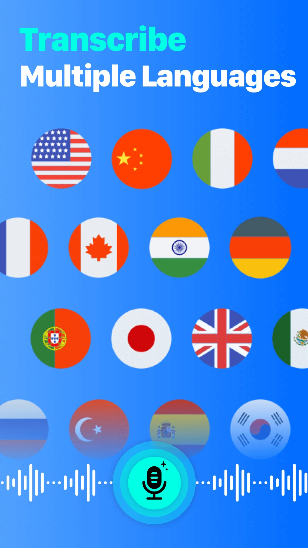 Voice Memo & Summary：NoteFlow screenshot